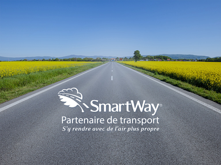 Un camion de fret Delmar, stationné sur une route.