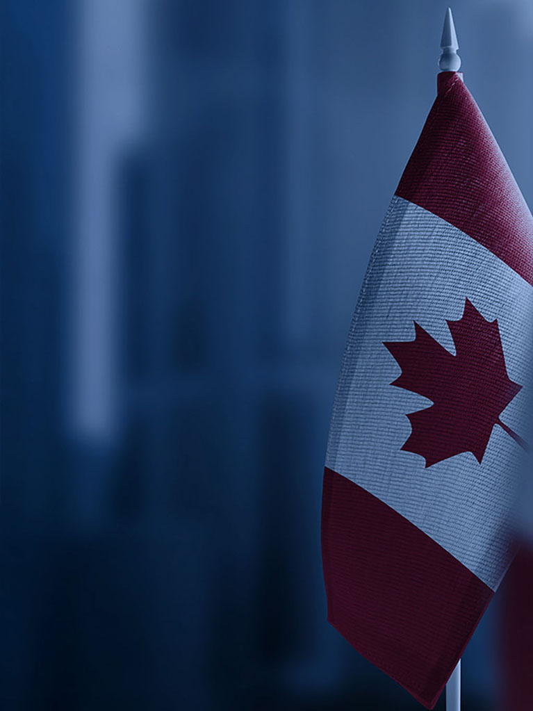 A silhouette of a Delmar shipping yard with an overlay of the blue shade that is used in Delmar branding.