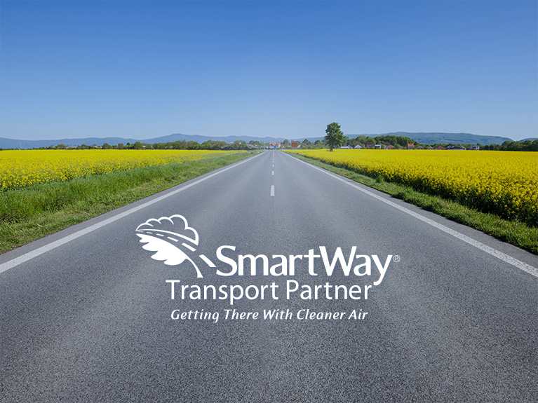 A Delmar freight truck, parked on a road.